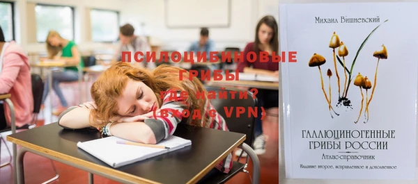 гашик Богородск