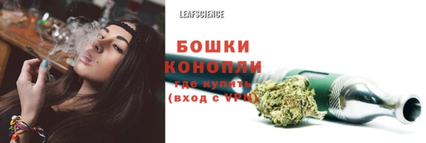 прущие крисы Бородино