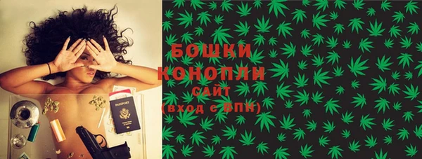гашик Богородск