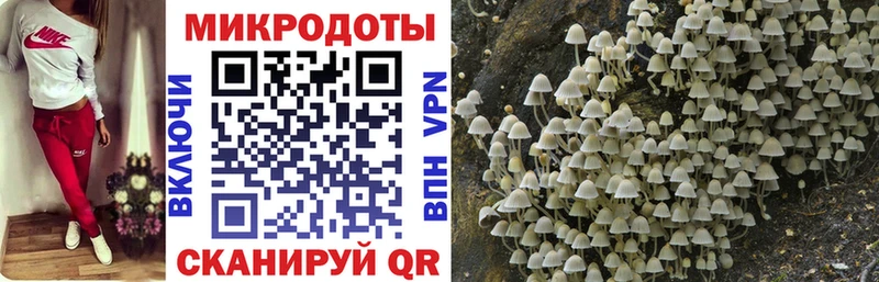 Псилоцибиновые грибы MAGIC MUSHROOMS Мыски