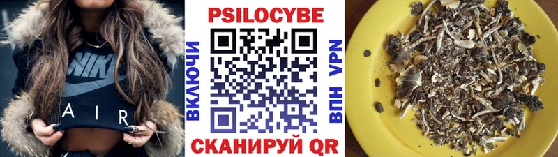 Псилоцибиновые грибы Cubensis  Купить  Мыски 